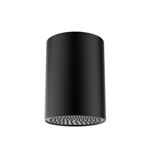 Cabezal de ducha de techo de 257 mm