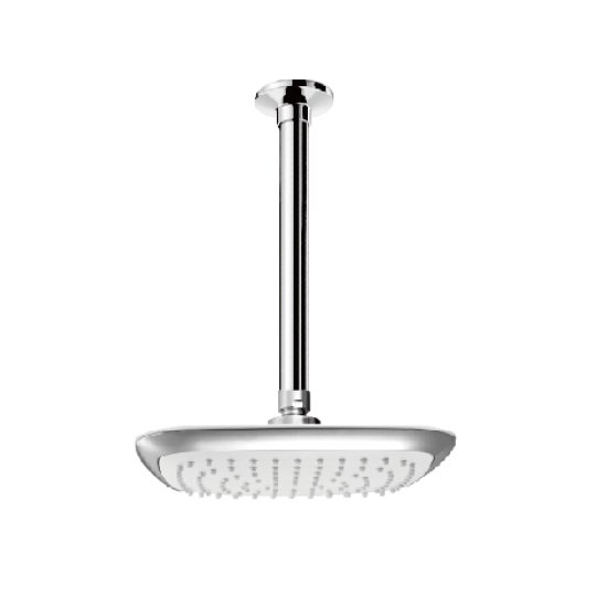 Cabezal de ducha de techo (plástico)